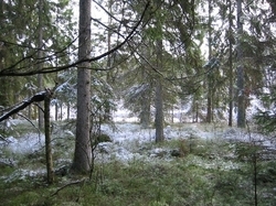 Kl�der f�r l�pning utomhus i skog